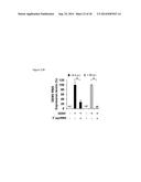 5 -TRIPHOSPHATE OLIGORIBONUCLEOTIDES diagram and image