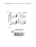 5 -TRIPHOSPHATE OLIGORIBONUCLEOTIDES diagram and image