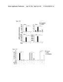 5 -TRIPHOSPHATE OLIGORIBONUCLEOTIDES diagram and image