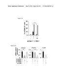 5 -TRIPHOSPHATE OLIGORIBONUCLEOTIDES diagram and image