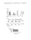 5 -TRIPHOSPHATE OLIGORIBONUCLEOTIDES diagram and image