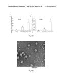 NANOPARTICLE-BASED DELIVERY SYSTEM WITH OXIDIZED PHOSPHOLIPIDS AS     TARGETING LIGANDS FOR THE PREVENTION, DIAGNOSIS AND TREATMENT OF     ATHEROSCLEROSIS diagram and image