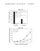 IMMUNOGENIC EPITOPES OF NGEP ANTIGEN diagram and image