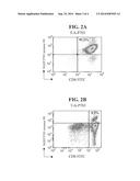 IMMUNOGENIC EPITOPES OF NGEP ANTIGEN diagram and image