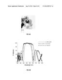 PHOTONIC DEVICES ON PLANAR AND CURVED SUBSTRATES AND METHODS FOR     FABRICATION THEREOF diagram and image