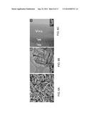 Hetero-nanostructure Materials for Use in Energy-Storage Devices and     Methods of Fabricating Same diagram and image