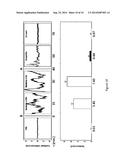 NANOSCALE MOTION DETECTOR diagram and image