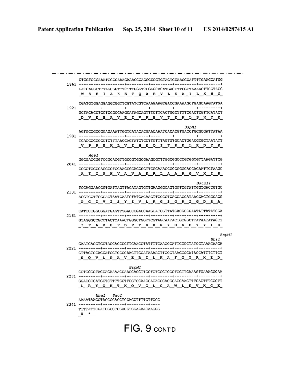 Polymerases - diagram, schematic, and image 11