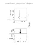 Polymerases diagram and image