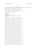 Polymerases diagram and image