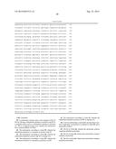 Polymerases diagram and image