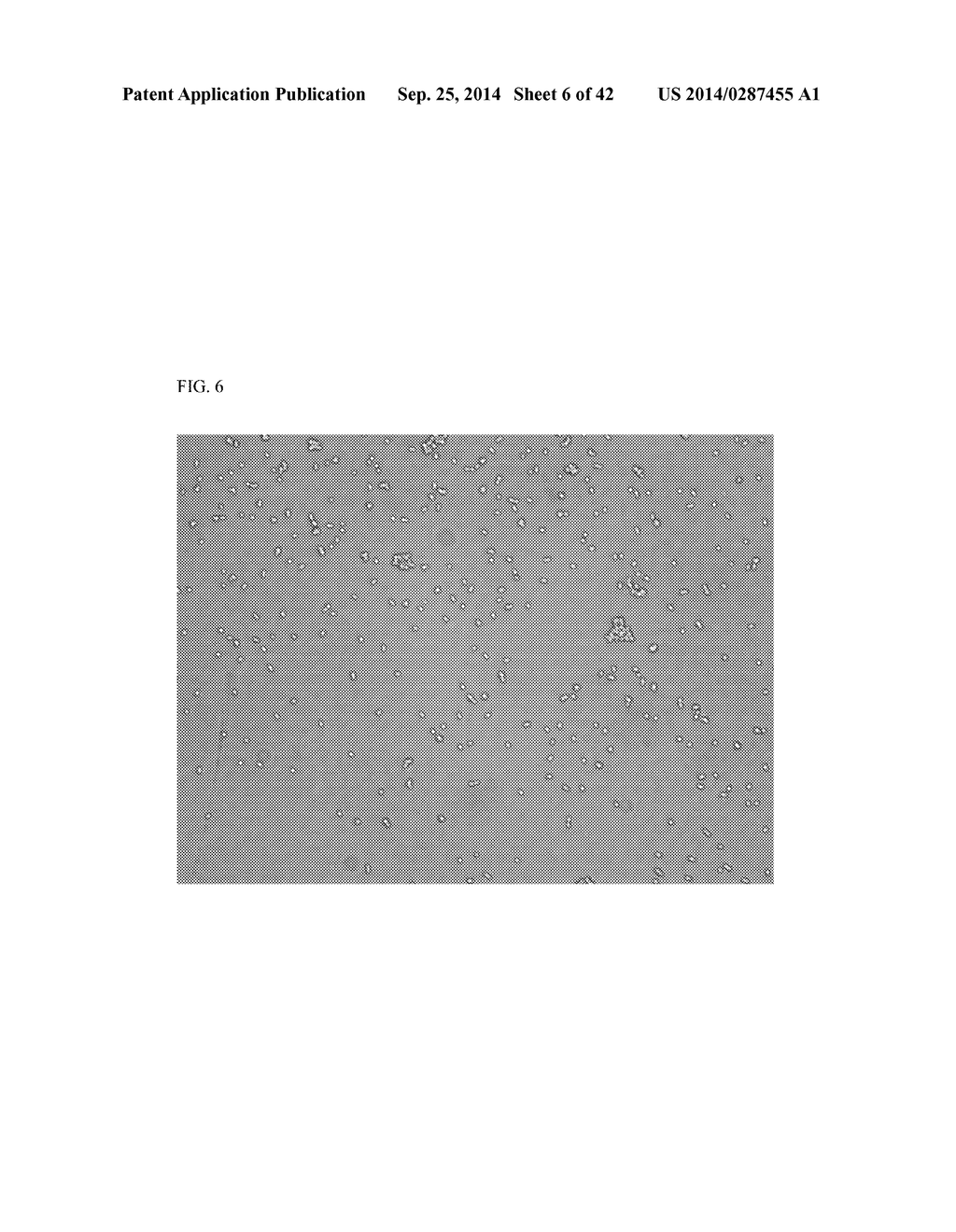 MICROORGANISM DETECTING DEVICE EVALUATION KIT, MICROORGANISM DETECTING     DEVICE EVALUATION KIT MANUFACTURING METHOD, AND MICROORGANISM DETECTING     DEVICE EVALUATING METHOD - diagram, schematic, and image 07