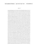 GENE INACTIVATED MUTANTS WITH ALTERED PROTEIN PRODUCTION diagram and image