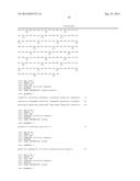 Method for Producing L-Amino Acids Using Bacteriua of the     Enterobacteriaceae Family diagram and image