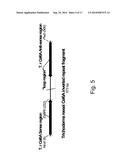 Methods For Eliminating Or Reducing The Expression Of A Gene In A     Filamentous Fungal Strain diagram and image