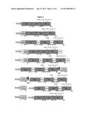 HBV POLYMERASE MUTANTS diagram and image