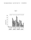 HBV POLYMERASE MUTANTS diagram and image