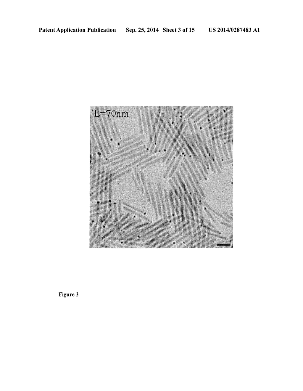 METHODS FOR PRODUCING SEMICONDUCTOR NANOPARTICLES - diagram, schematic, and image 04