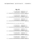 METHODS AND COMPOSITIONS FOR ENHANCING THE EFFICACY AND SPECIFICITY OF     SINGLE AND DOUBLE BLUNT-ENDED siRNA diagram and image