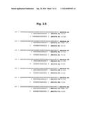 METHODS AND COMPOSITIONS FOR ENHANCING THE EFFICACY AND SPECIFICITY OF     SINGLE AND DOUBLE BLUNT-ENDED siRNA diagram and image