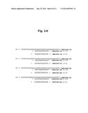 METHODS AND COMPOSITIONS FOR ENHANCING THE EFFICACY AND SPECIFICITY OF     SINGLE AND DOUBLE BLUNT-ENDED siRNA diagram and image