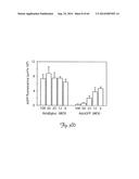 RNA INTERFERENCE SUPPRESSION OF NEURODEGENERATIVE DISEASES AND METHODS OF     USE THEREOF diagram and image