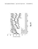 RNA INTERFERENCE SUPPRESSION OF NEURODEGENERATIVE DISEASES AND METHODS OF     USE THEREOF diagram and image