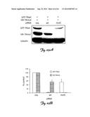 RNA INTERFERENCE SUPPRESSION OF NEURODEGENERATIVE DISEASES AND METHODS OF     USE THEREOF diagram and image