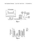 RNA INTERFERENCE SUPPRESSION OF NEURODEGENERATIVE DISEASES AND METHODS OF     USE THEREOF diagram and image