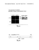 RNA INTERFERENCE SUPPRESSION OF NEURODEGENERATIVE DISEASES AND METHODS OF     USE THEREOF diagram and image