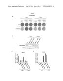 METHODS AND COMPOSITIONS FOR PREDICTING RESISTANCE TO ANTICANCER TREATMENT diagram and image