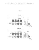 METHODS AND COMPOSITIONS FOR PREDICTING RESISTANCE TO ANTICANCER TREATMENT diagram and image