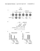 METHODS AND COMPOSITIONS FOR PREDICTING RESISTANCE TO ANTICANCER TREATMENT diagram and image