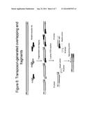 COMPOSITIONS AND METHODS FOR SEQUENCING NUCLEIC ACIDS diagram and image