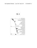 ISOTOPIC LABELING FOR THE MEASUREMENT OF GLOBAL PROTEIN LEVELS AND     TURNOVER IN VIVO diagram and image