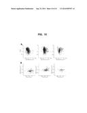 ISOTOPIC LABELING FOR THE MEASUREMENT OF GLOBAL PROTEIN LEVELS AND     TURNOVER IN VIVO diagram and image