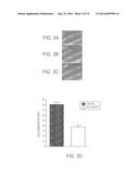 COMPOSITIONS AND METHODS TO CONCURRENTLY TREAT AND/OR PREVENT MULTIPLE     DISEASES WITH CUPREDOXINS diagram and image