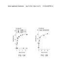 COMPOSITIONS AND METHODS TO CONCURRENTLY TREAT AND/OR PREVENT MULTIPLE     DISEASES WITH CUPREDOXINS diagram and image