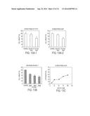 COMPOSITIONS AND METHODS TO CONCURRENTLY TREAT AND/OR PREVENT MULTIPLE     DISEASES WITH CUPREDOXINS diagram and image