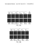 COMPOSITIONS AND METHODS TO CONCURRENTLY TREAT AND/OR PREVENT MULTIPLE     DISEASES WITH CUPREDOXINS diagram and image