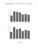 COMPOSITIONS AND METHODS TO CONCURRENTLY TREAT AND/OR PREVENT MULTIPLE     DISEASES WITH CUPREDOXINS diagram and image