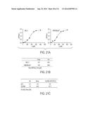 COMPOSITIONS AND METHODS TO CONCURRENTLY TREAT AND/OR PREVENT MULTIPLE     DISEASES WITH CUPREDOXINS diagram and image