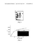 Hepatitis B Virus-Binding Polypeptides and Methods of Use Thereof diagram and image