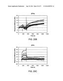 Hepatitis B Virus-Binding Polypeptides and Methods of Use Thereof diagram and image