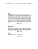 Hepatitis B Virus-Binding Polypeptides and Methods of Use Thereof diagram and image