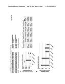 PEPTIDES HAVING REDUCED TOXICITY THAT STIMULATE CHOLESTEROL EFFLUX diagram and image