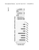 PEPTIDES HAVING REDUCED TOXICITY THAT STIMULATE CHOLESTEROL EFFLUX diagram and image