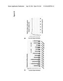 PEPTIDES HAVING REDUCED TOXICITY THAT STIMULATE CHOLESTEROL EFFLUX diagram and image