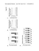 PEPTIDES HAVING REDUCED TOXICITY THAT STIMULATE CHOLESTEROL EFFLUX diagram and image