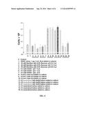 STABLE PHARMACEUTICAL FORMULATIONS OF GROWTH FACTOR PEPTIDES diagram and image